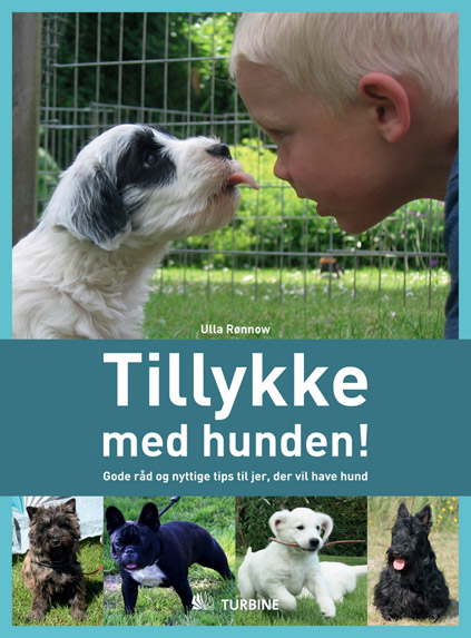 tillykke med hunde